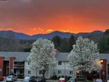 1-bedroom apartment at Ridge View Apartments in Asheville